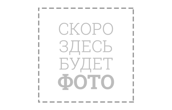 19 зубов, диаметр 74мм, ШРУС, H=65мм,109мм SAE 74мм + вал под трубу 50,8мм, Renault, Suzuki